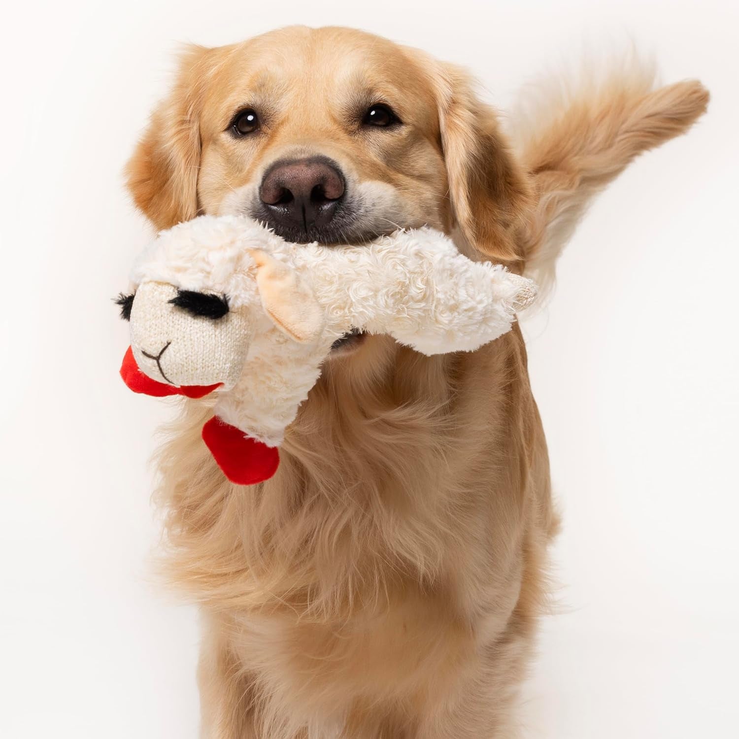 Plush Dog Toy, Lambchop, 10" Regular, White, Large