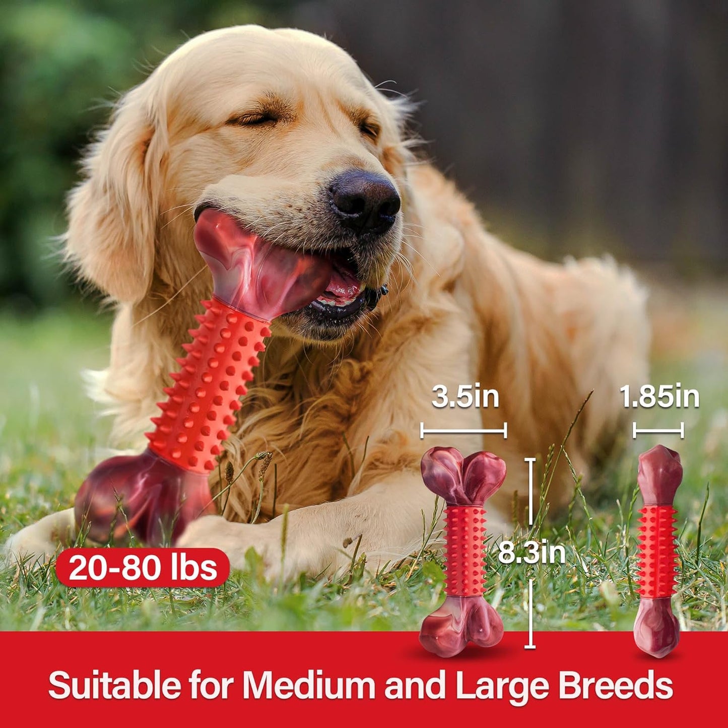 Tough Dog Toys for Aggressive Chewers Large Breed, Chew Toys, Bones Made with Nylon and Rubber, Big Indestructible Toy, Medium Puppy Teething Chew